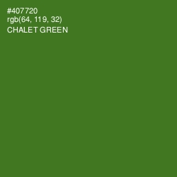 #407720 - Chalet Green Color Image